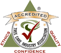 tcia-accredited img